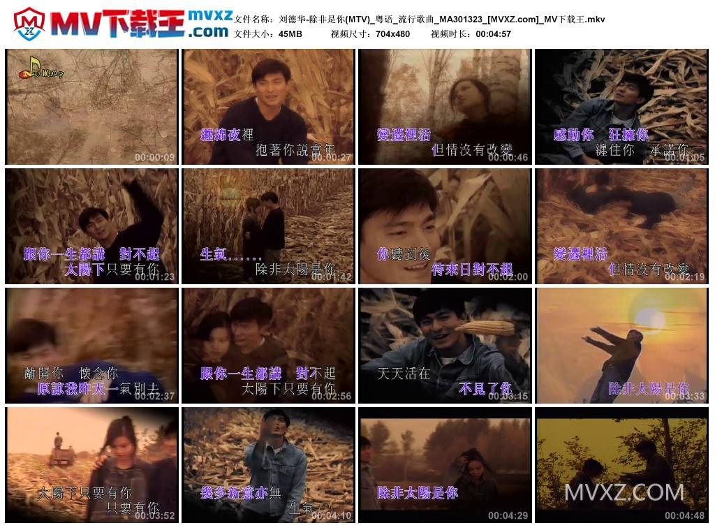 刘德华-除非是你(MTV)_粤语_流行歌曲_MA301323